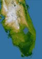 Florida The of Florida are a symphony of nature, a chorus of creatures blending together in perfect harmony. From the