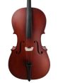 Violoncello The melodic resonance of strings of cello fills the air with a deep, rich that captivates the listener. Each