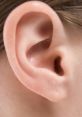 Ear Ear Ringing (After Explosion) #ear #ringing #insanity #simulated The deafening of ear ringing after an explosion echoes