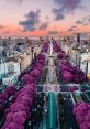 Aires Recoleta #aires #buenos #francia #harp #ian The enchanting of a harp fills the air in Recoleta, Buenos Aires. The