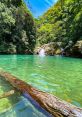 Lagoa The of birds chirping and bees buzzing fills the air at Jardim (Garden) in Lagoa S. The lush greenery and colorful