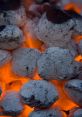 Coals If you listen closely, you can hear the gentle tapping on the bread as it bakes in the oven. The of the dough