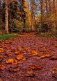 Leaves-Rustling The tranquil of a branch rustling in the wind brings a sense of calm and serenity to any outdoor