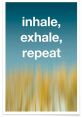 Exhale The of an exhale is a universal that resonates with all human bodies. It is a simple yet powerful that