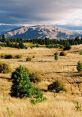 Plains The soft whisper of the wind blowing through the plains creates a soothing harmony in the natural world. Each