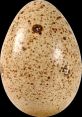 Huevo The first is a sharp crack followed by a low, rumbling crunch. It is the of an egg being broken open. The shell