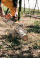 Wood-Cutting The wood cutting machine roars to life with a deafening OW as the blades slice through the thick logs. The