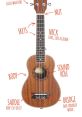 Uke The first captures the essence of a relaxing day spent on a sunny beach in Hawaii. The gentle strumming of the