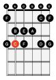 C-Major The C Harmonized Scale 1 plays beautifully, filling the air with a cascade of harmonious notes. Each tone seems to