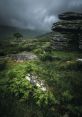 Dartmoor The first that fills the air on Dartmoor is the gentle clip-clop of hooves as a wild pony moves gracefully through