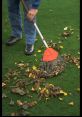 Raking The gentle whoosh of leaves being raked on grass filled the air, creating a soothing symphony of nature's . The of