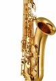 Tenor-Saxophone The Saxophone Melody K 110 (Excerpt) is a beautiful display of the expressive capabilities of the tenor