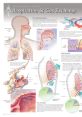 Respiration Play and download these here: Male Heavy Breathing, Respiration, Sneeze. The of Male Heavy Breathing in a