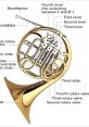 F-Horn The F Horn emits a bold and resonant , cutting through the air with precision and clarity. When played in a