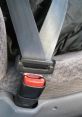 Seatbelt Whether you're getting in a car for a quick trip to the grocery store or a long road trip across the country, the