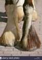 Horse-Hooves The rhythmic of horse hooves can be both calming and majestic, evoking images of vast open fields and the