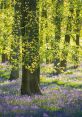 Woodland The of a woodland are a symphony of nature, a cacophony of life blending seamlessly in the tranquil setting of the