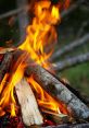 Campfire The crackling of the campfire was a comforting that filled the air with warmth and coziness. Each small pop and