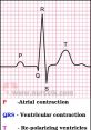 Ecg The unmistakable of a foetal monitor fills the room, a rhythmic beep that echoes with each beat of the unborn baby's