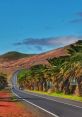 Canarias If you wander through the picturesque landscapes of the Canary Islands, you may come across a goat farm in