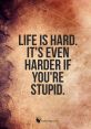 Stupid These are a cacophony of chaos, a symphony of absurdity that leaves you dumbfounded in pain. The first , labeled