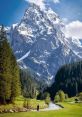 Swiss The crisp morning air in the Swiss forest is accompanied by the gentle of snow falling from the trees. The soft