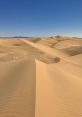 Dunes If you close your eyes and listen carefully, you can hear the gentle hum of the Warrnambool Sprinkler Insect. This , a