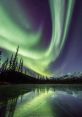 Alaska The of Rocky Creek rushing through the Alaskan wilderness is a symphony of nature. The babbling brook creates a