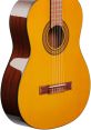 Nylon-Guitar The of guitar arpeggios fills the room, creating a sense of tranquility and beauty. The gentle plucking of the