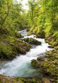 Mountain-Stream The serene of a mountain stream fill the atmosphere with a sense of tranquility and peace. The gentle