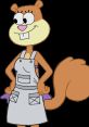 Sandy Cheeks Type your text and hear it in the voice of Sandy Cheeks.