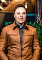 Elon Musk (Business Magnate, Investor, Public Figure) HiFi TTS Computer AI Voice