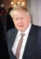 Boris Johnson (Public Figure) Type your text and hear it in the voice of Boris Johnson (Public Figure).