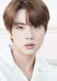 Jin (BTS) (BTS, Kpop) Type your text and hear it in the voice of Jin (BTS) (BTS, Kpop).