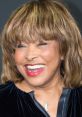 Tina Turner (Actress) HiFi TTS Computer AI Voice