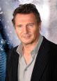 Liam Neeson (Actor) HiFi TTS Computer AI Voice