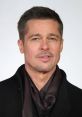 Brad Pitt (Actor) HiFi TTS Computer AI Voice