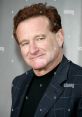 Robin Williams (Actor) HiFi TTS Computer AI Voice