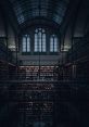 Dark Library These are like whispers in the labyrinthine halls of the Dark S Library, where Spaces Rain Ambience merges