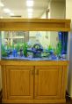 Fish tank SFX Library