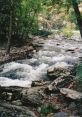 Babbling brook Library The Babbling Brook S Library is a treasure trove of soothing that can transport you to the