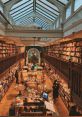 Inhaling Library The Inhaling S Library offers a diverse range of that evoke a variety of emotions and settings. From the