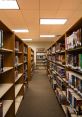 Book-filled aisles in a cozy library featuring bright lighting and a welcoming atmosphere for reading and research enthusiasts.