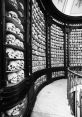 Skull Library The Skull S Library is a treasure trove of eerie and bone-chilling that will send shivers down your spine.