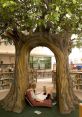 Tree Library The ambiance of the Tree's Library is filled with a symphony of unique that evoke the essence of nature. The