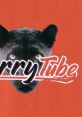 BarryTube [Youtube] "Version" Type your text and hear it in the voice of BarryTube [Youtube] "Version " by quifa4512.