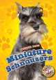 Schnauzer Library The you hear in Schnauzer S Library are truly a symphony of canine activity. From the soft, rhythmic