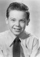 Bobby Driscoll Type your text and hear it in the voice of Bobby Driscoll by vegito1089.