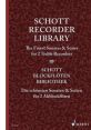 Recorder SFX Library