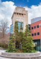 Landscaping Library The Landscaping S Library is a treasure trove of that capture the essence of working outdoors,